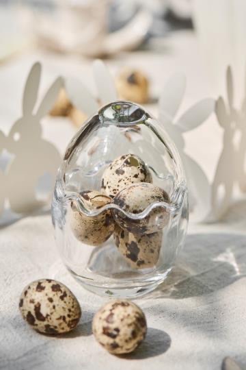 E7C12CD9-3865-4FF3-A589-02B4303EBC38_4_5005_c