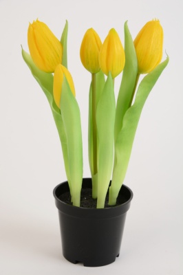 Topfpflanze Tulpe mit 5 gelben Blüten künstlich