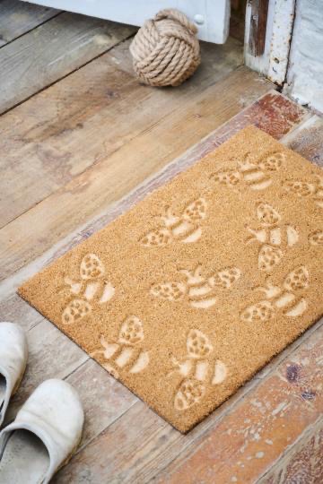 25FD2670-07B4-45C8-BEB3-B6EFE726169E_4_5005_c