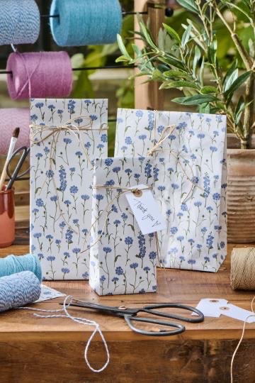 3C109494-317B-4AB3-B561-6540D9B5638A_4_5005_c