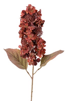 343A214B-858D-4350-AC20-035E9302B0F7_4_5005_c