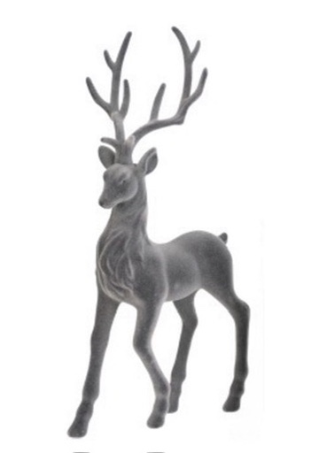 980A3B2A-2D11-4D3B-BEFD-D5F7A4D27E75_4_5005_c