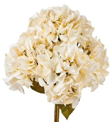 A3B9F205-3B7A-4047-9677-7123E83FC8C6