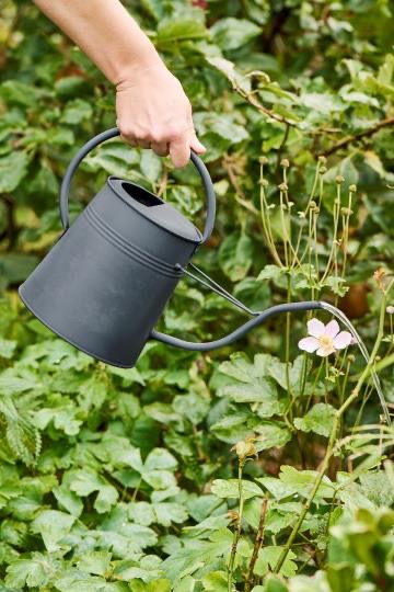 C32F5751-942E-47C2-BCEC-DB1E2D8F5275_4_5005_c