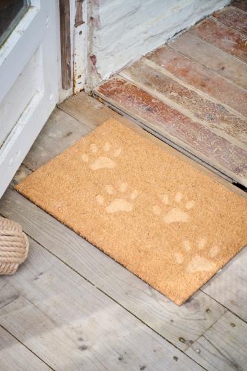 2F4C88EA-FFA9-4D7E-92FE-C83EDCBD8E2E_4_5005_c