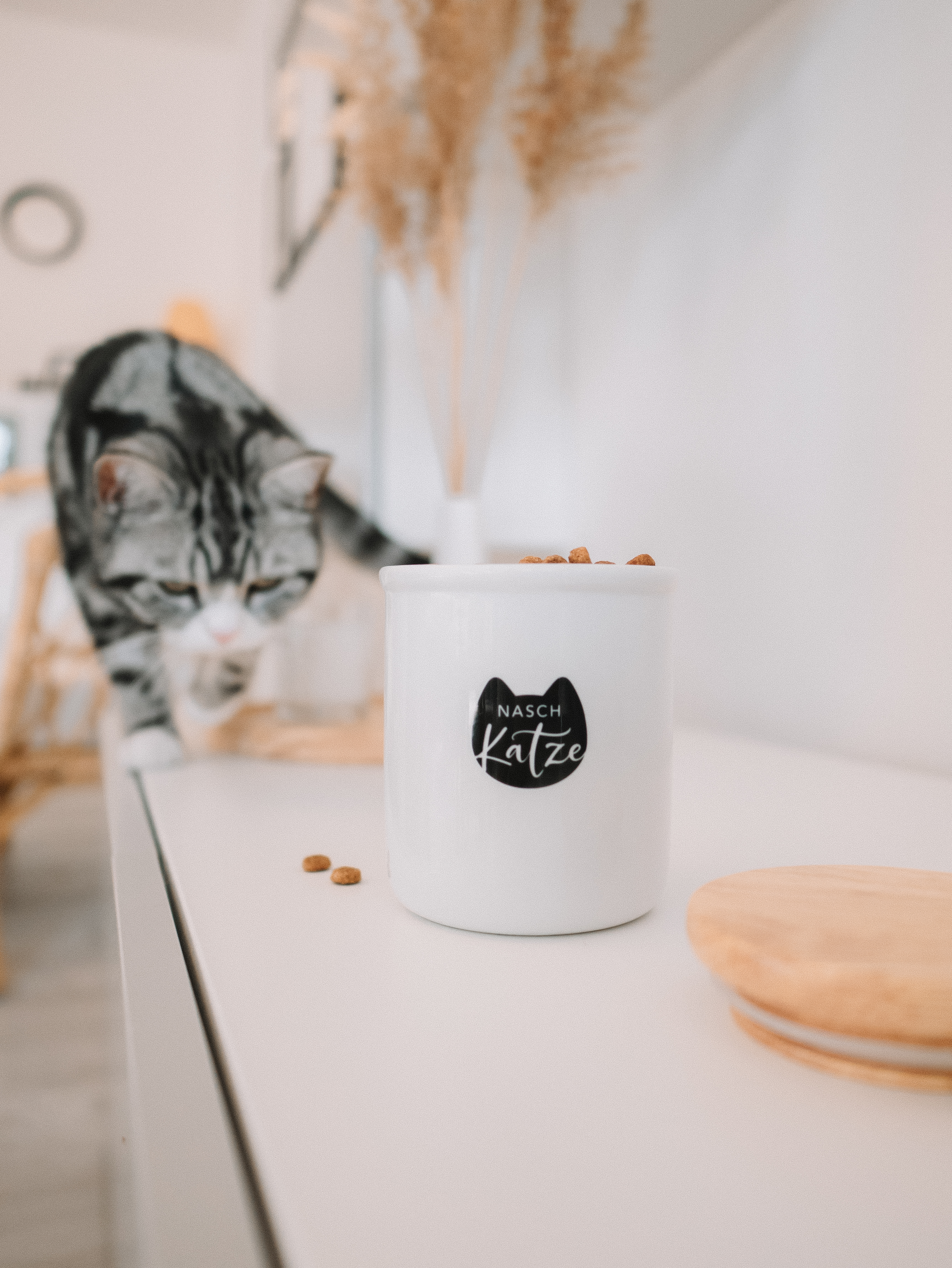 3CA65172-D987-4468-ACB6-06EF501751C7