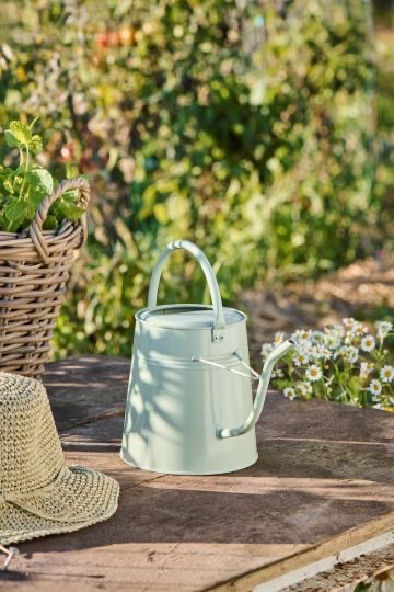 C7CA67AF-57B9-46F1-ACF9-14E60A7F4559_4_5005_c