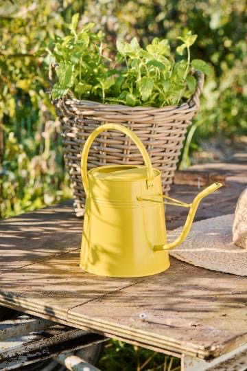 4A2E85E2-B087-4988-B685-4C07BE2BA4C3_4_5005_c